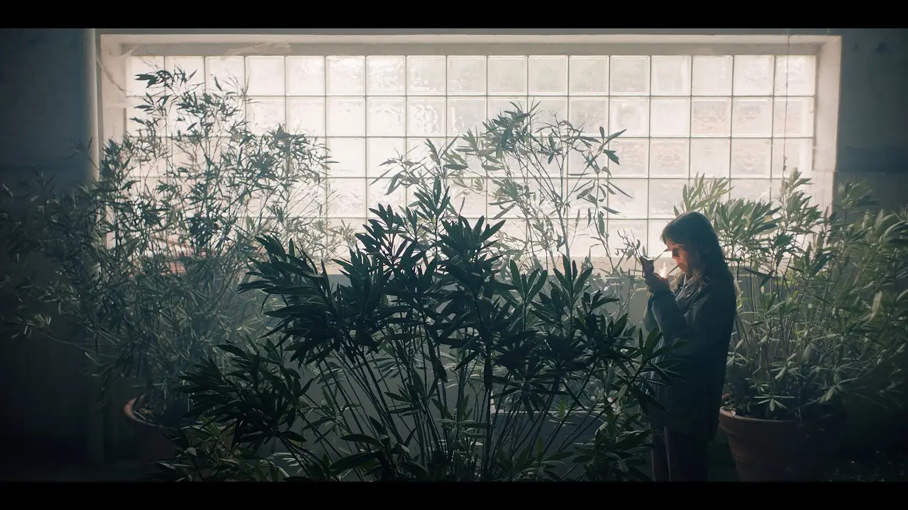 Let Sleeping Dogs Lie — trailer