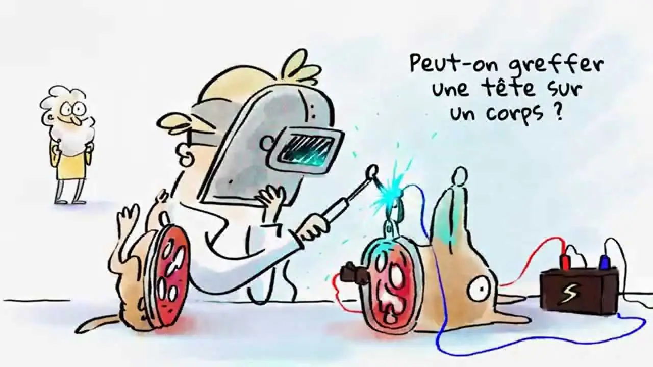 Tu mourras moins bête... — трейлер
