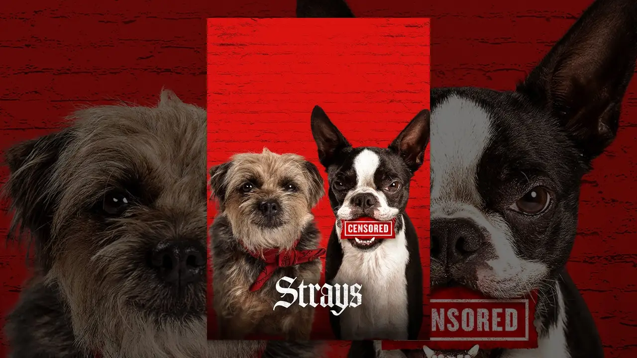Strays — tráiler