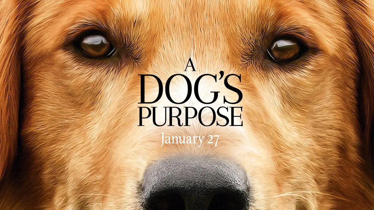 A Dog's Purpose — tráiler