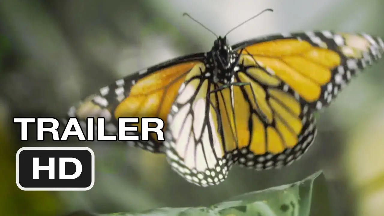 Butterflies — trailer