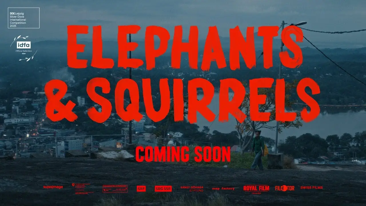 Elephants & Squirrels — tráiler