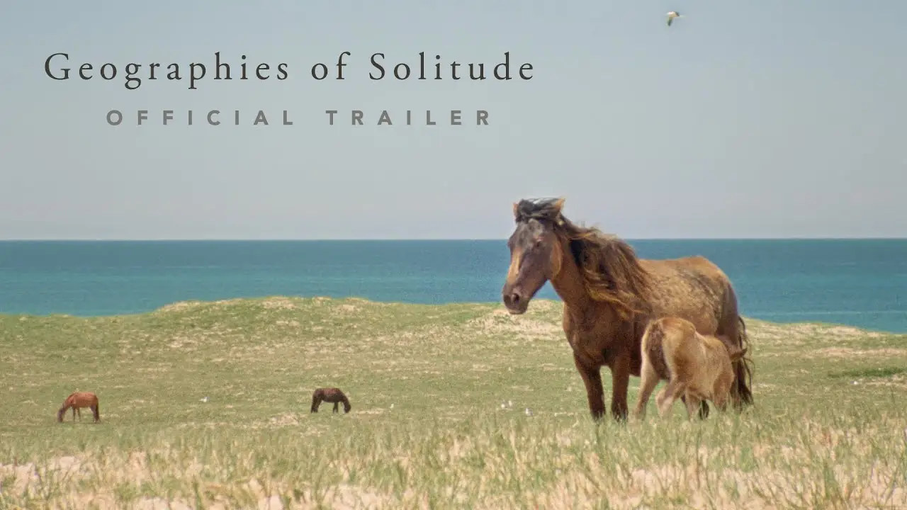 Solitude — trailer
