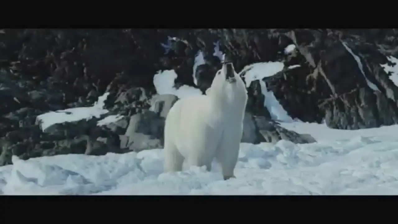 The Journey Home — trailer