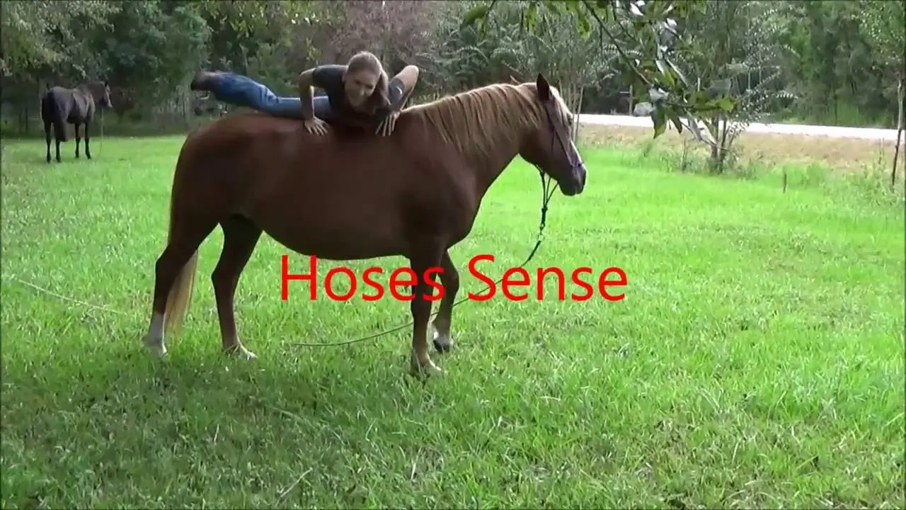 Horse Sense — tráiler