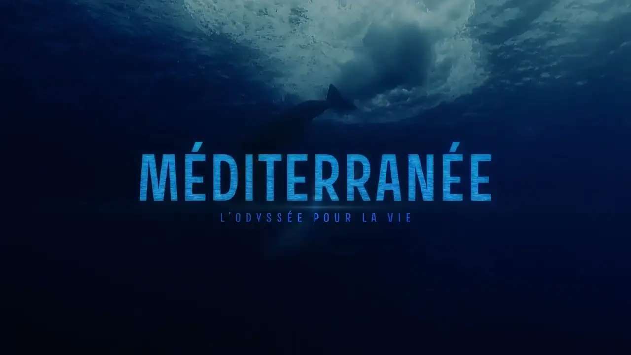 Méditerranée — трейлер