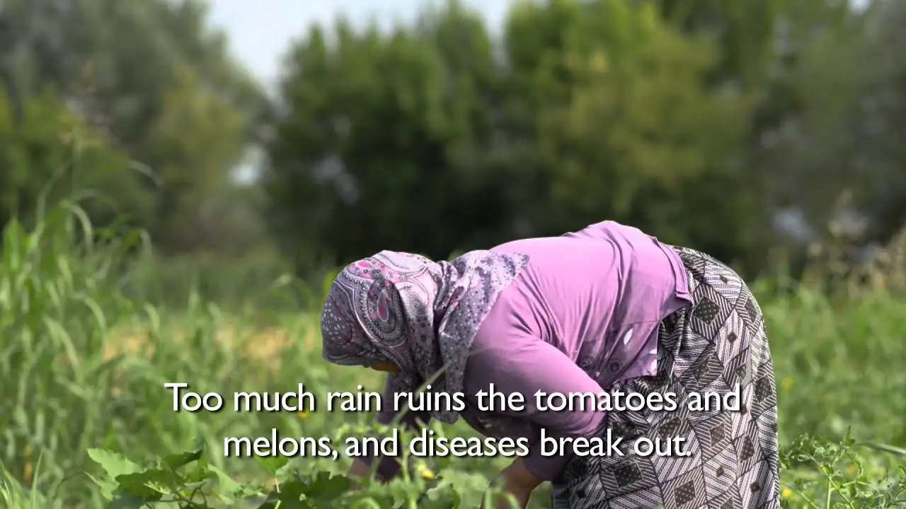 After the Rain — tráiler
