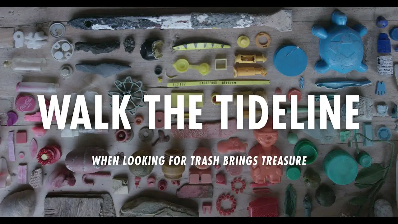 Walk the Tideline — trailer