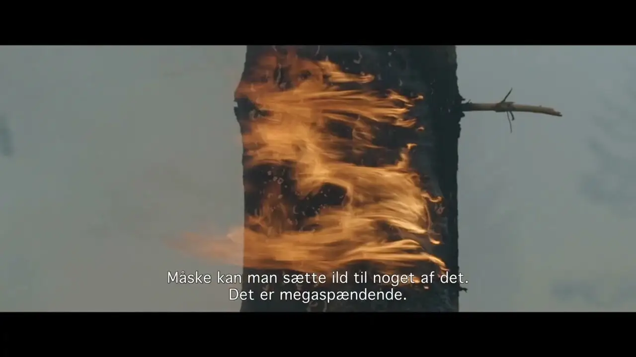 Organiseret Vildskab — trailer