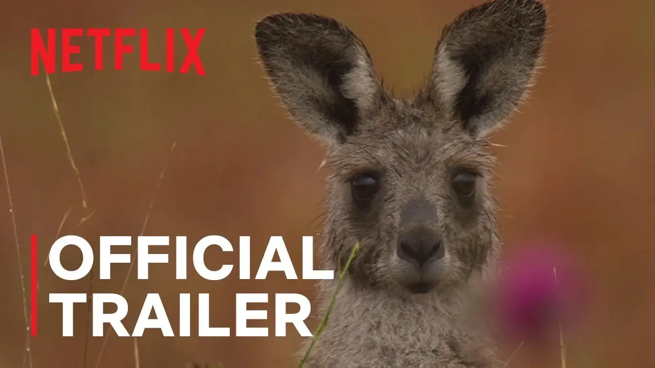 Kangaroo Valley — trailer