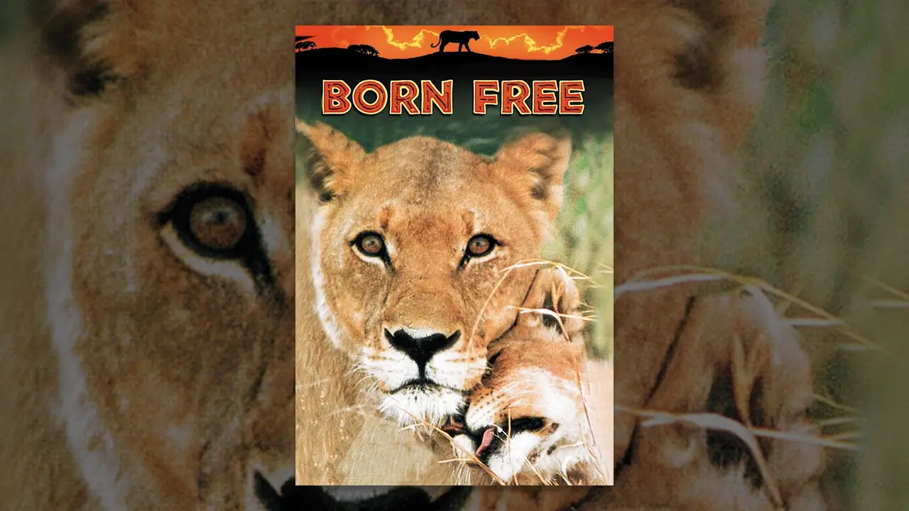 Born Free — trailer
