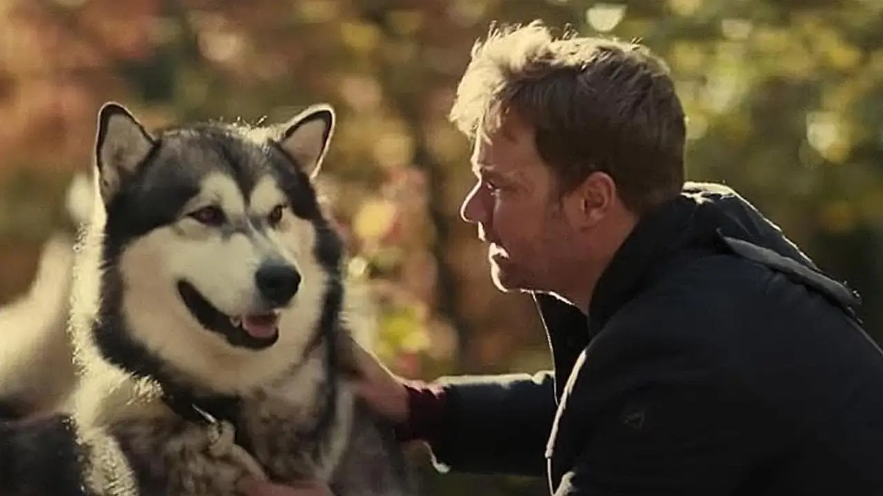Hero Dog: The Journey Home — trailer