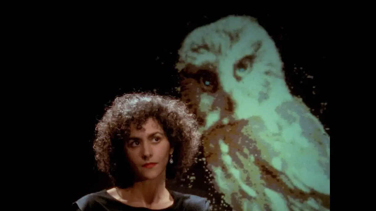 The Owl's Legacy — tráiler