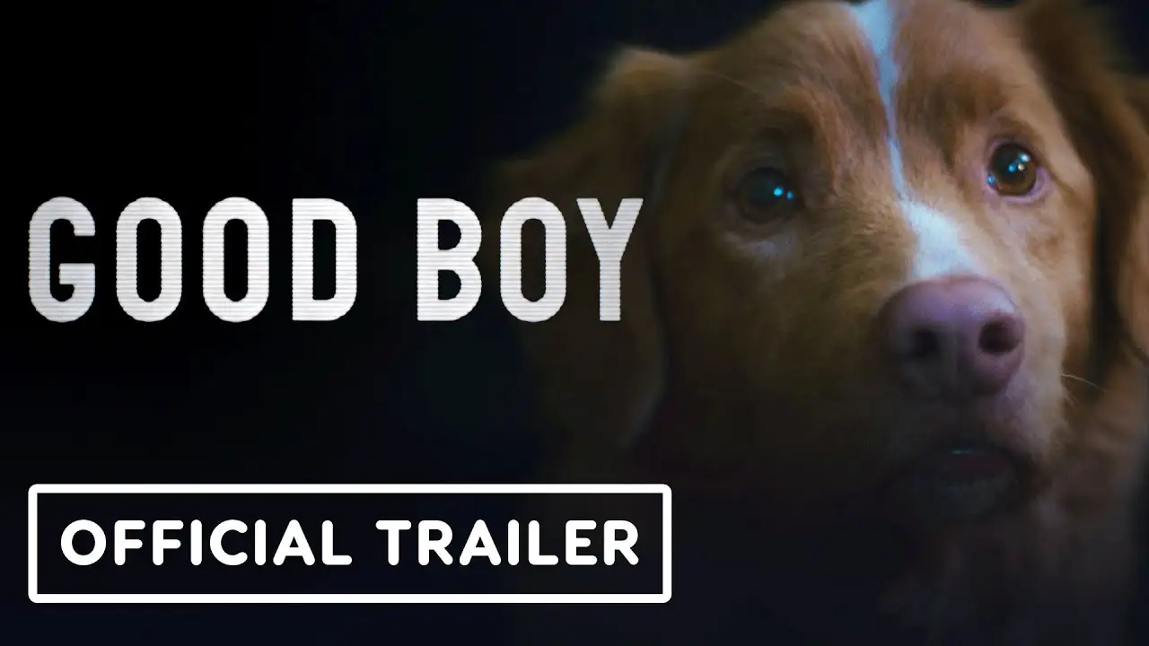 Good Boy — трейлер