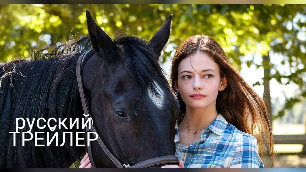 Macken — trailer