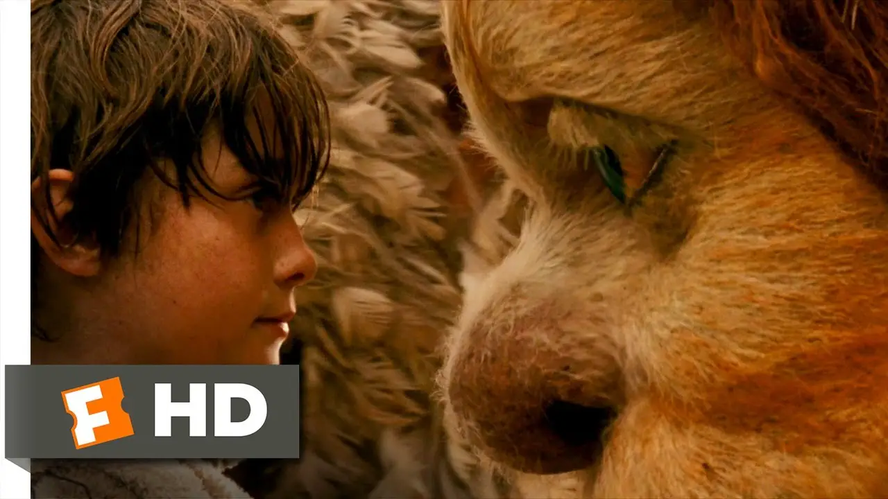 Wild — trailer