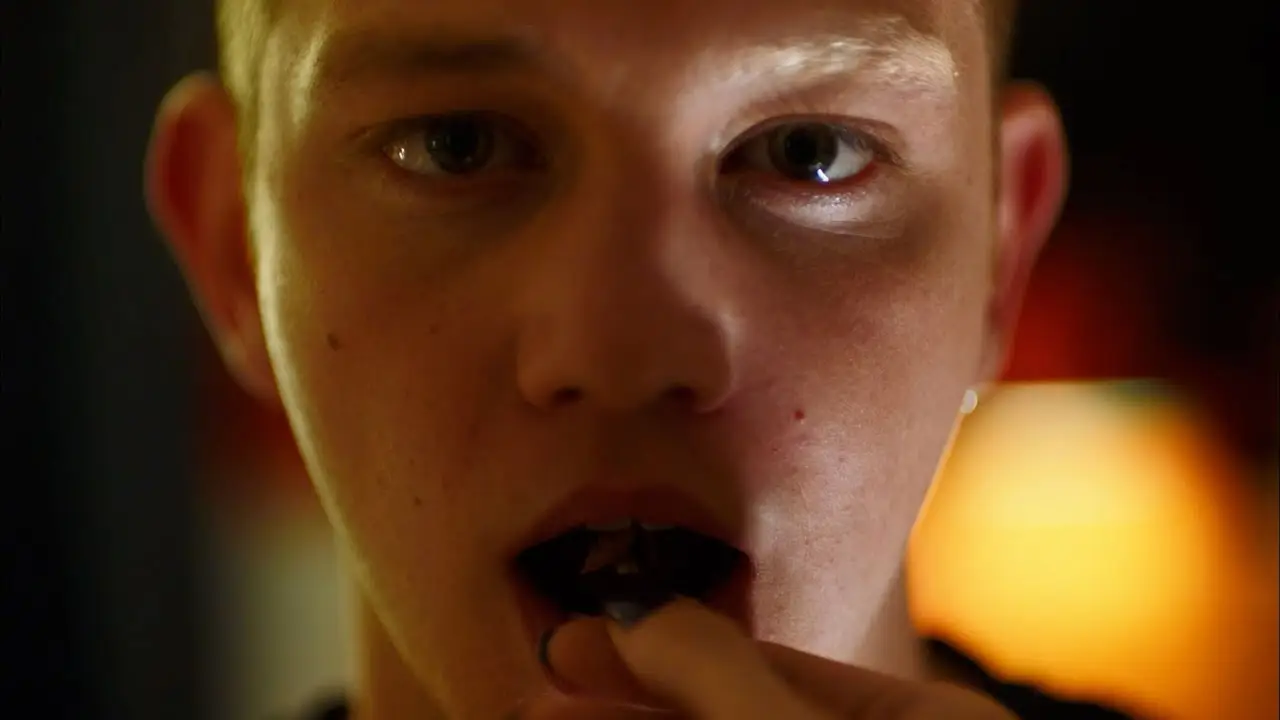 Teddy — trailer