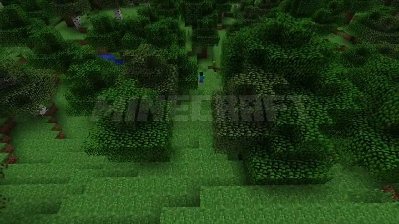 Craft — trailer