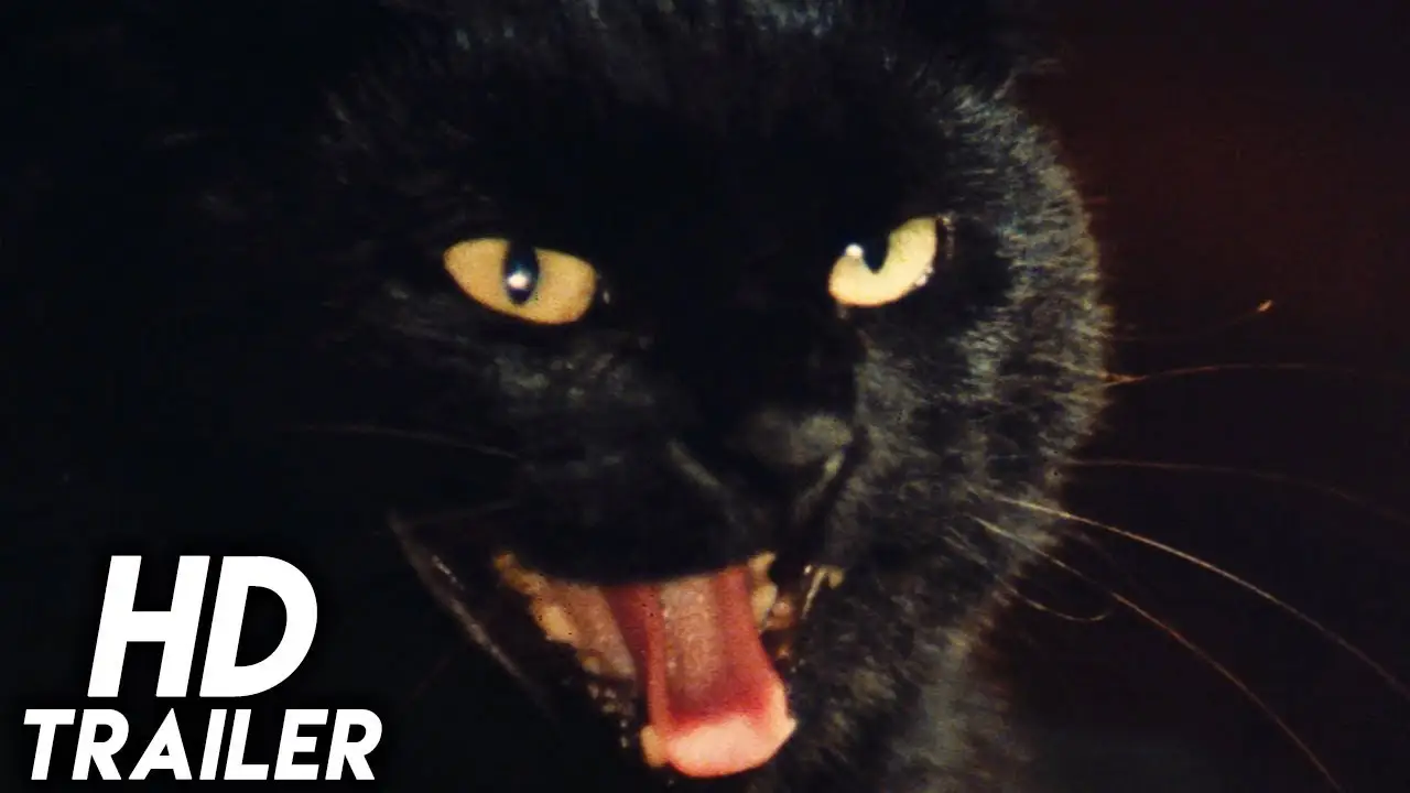 El gato negro — tráiler