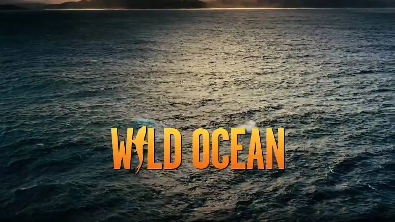Wild Ocean — trailer