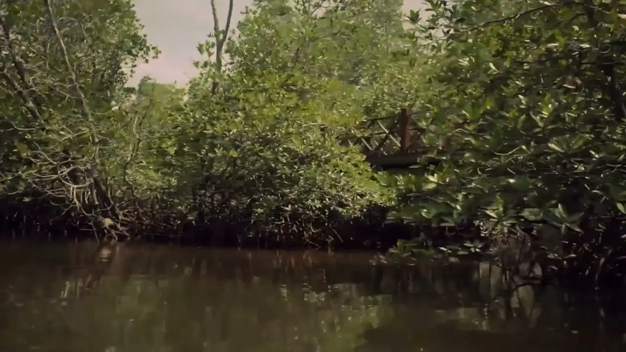 Alligator Alley — trailer
