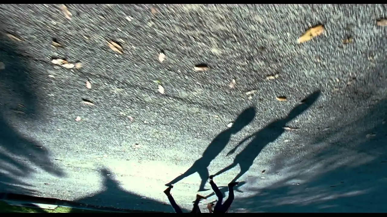 The Tree — trailer
