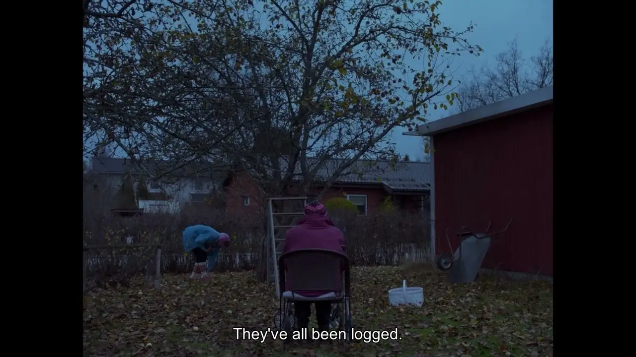 Once Upon a Time in a Forest — трейлер