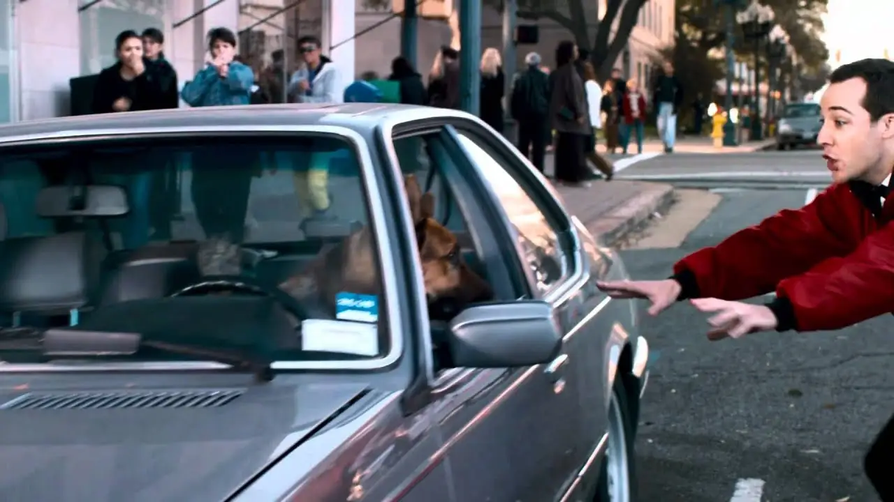 Cool Dog — trailer