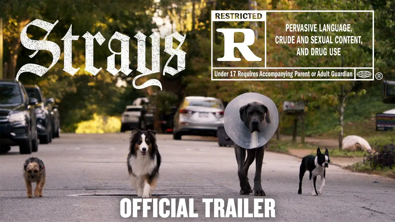 Strays — trailer