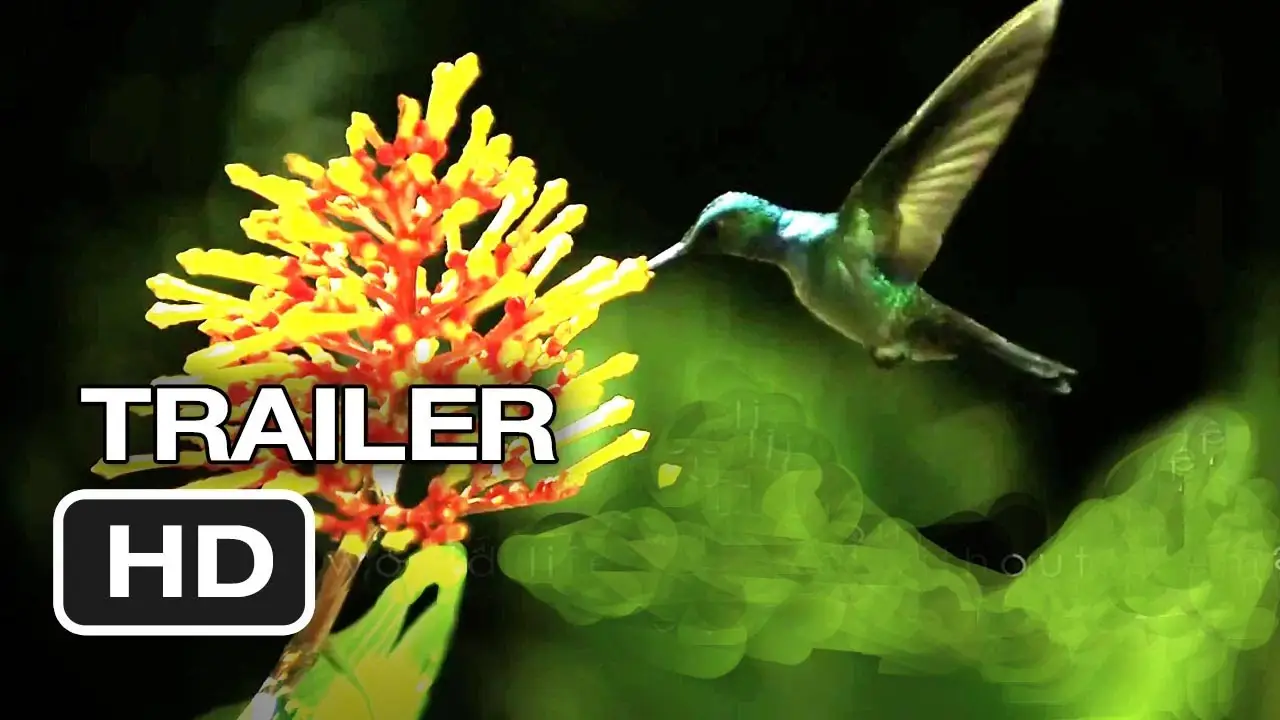 Wings of Life — trailer