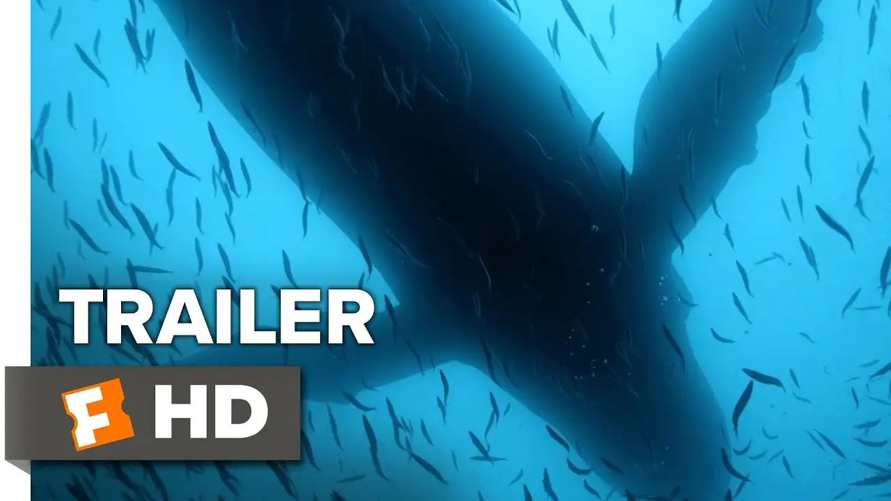 SOS: mar de sombras — tráiler