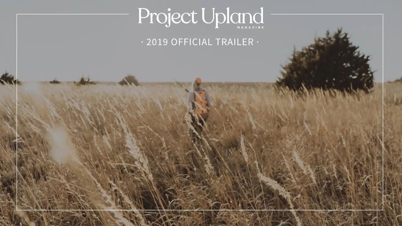 The Project — tráiler