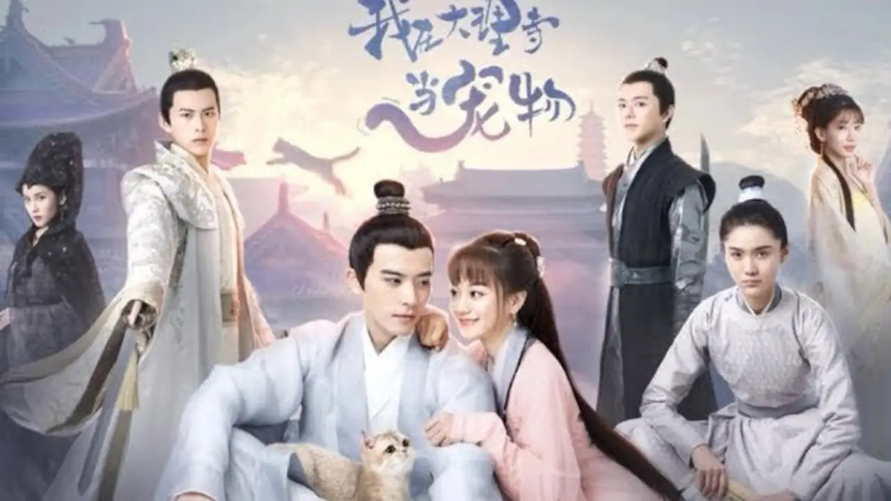 I'm a Pet At Dali Temple — tráiler