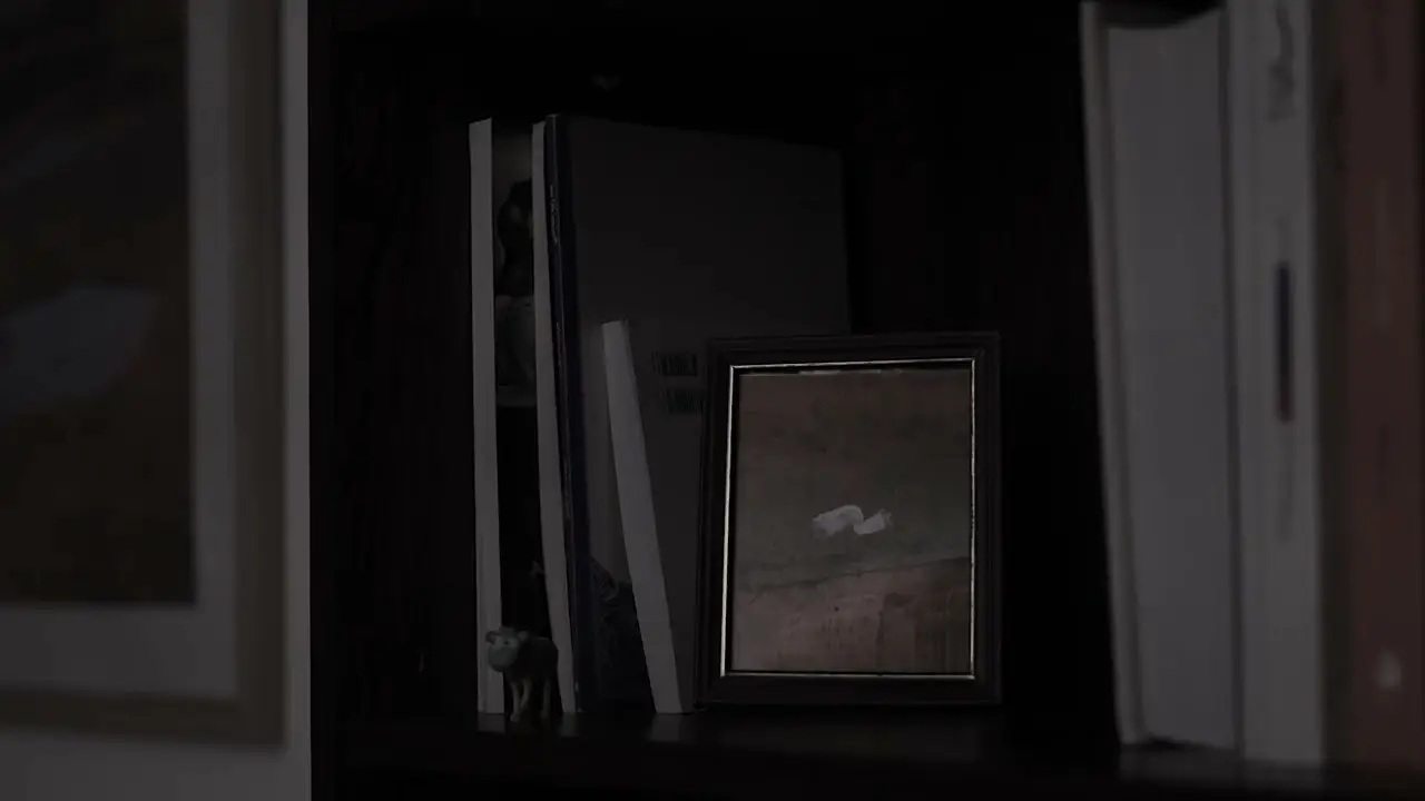 Memories of a Window — trailer
