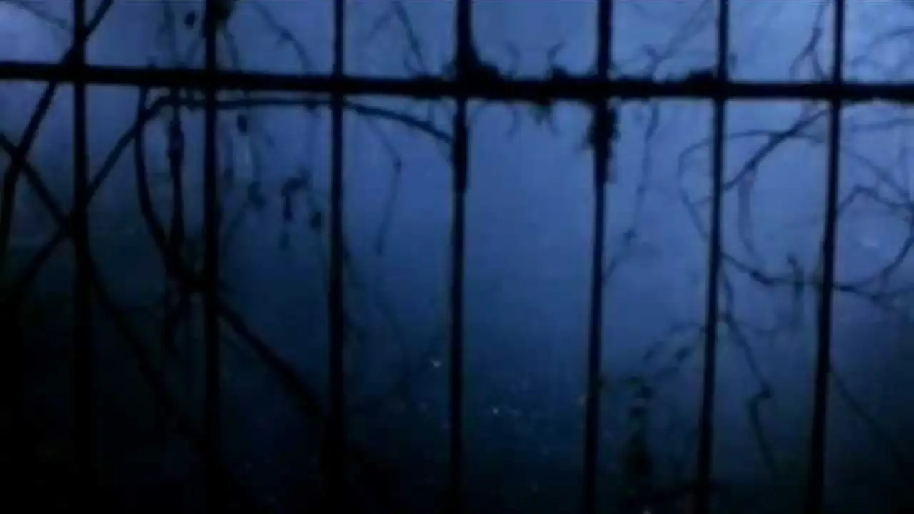 Friday the 13th Part VI: Jason Lives — trailer