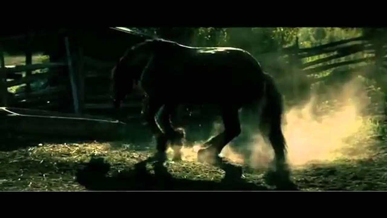 Le torrent — trailer