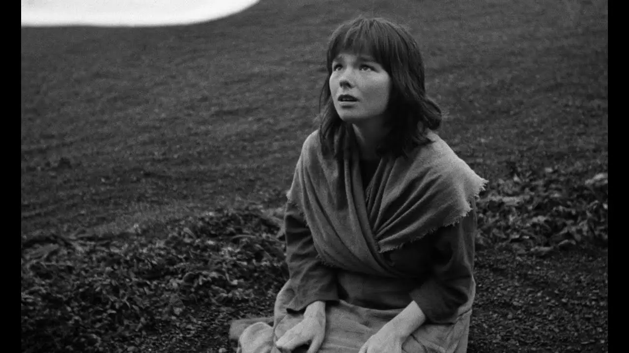 The Juniper Tree — trailer