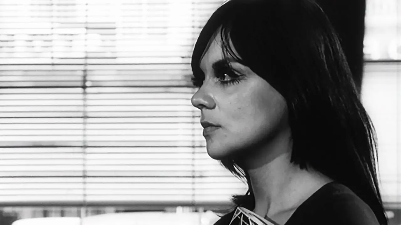 Cash? Cash! — trailer