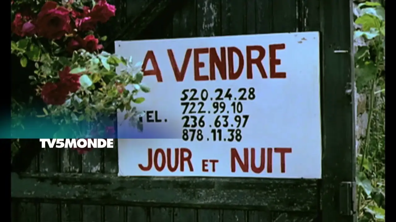Pardon Mon Affaire, Too! — trailer