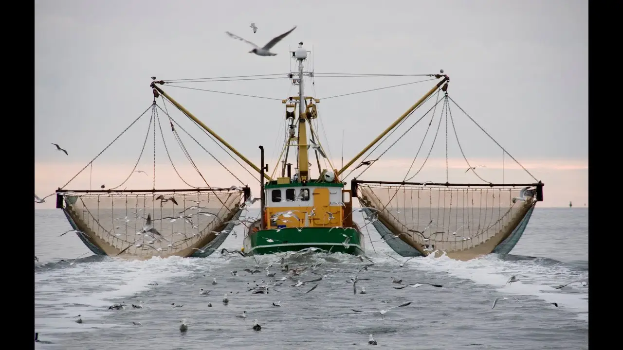 Dispatches from the Gulf — trailer