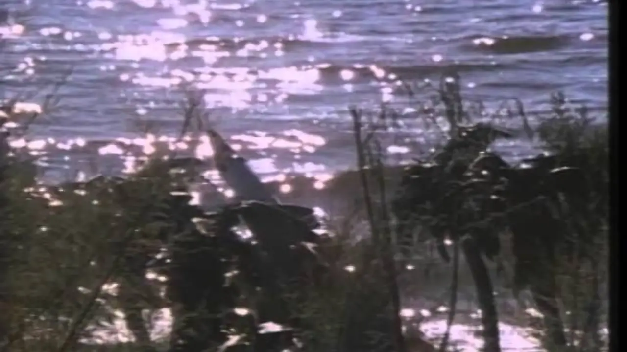 Code Name: Foxfire — trailer