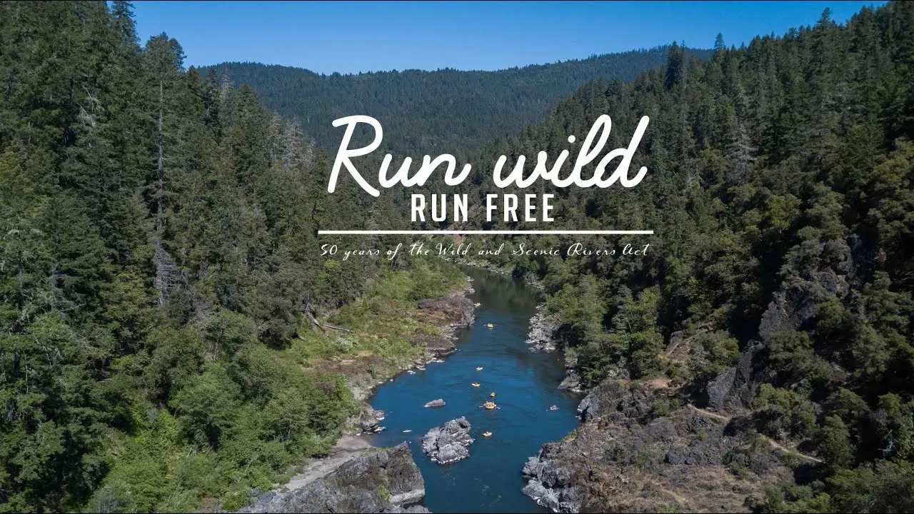Run Wild, Run Free — трейлер