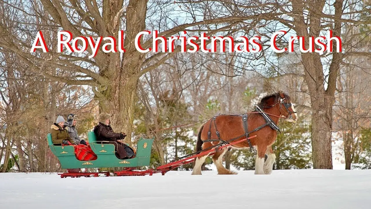 A Royal Christmas Crush — trailer