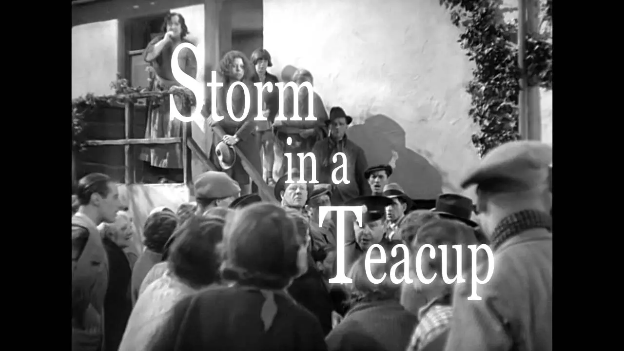 Storm in a Teacup — трейлер
