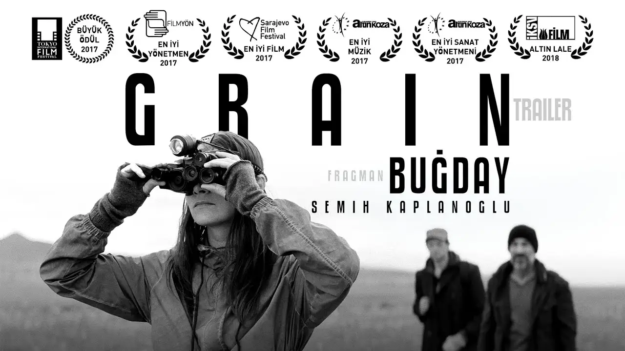 Grain — trailer