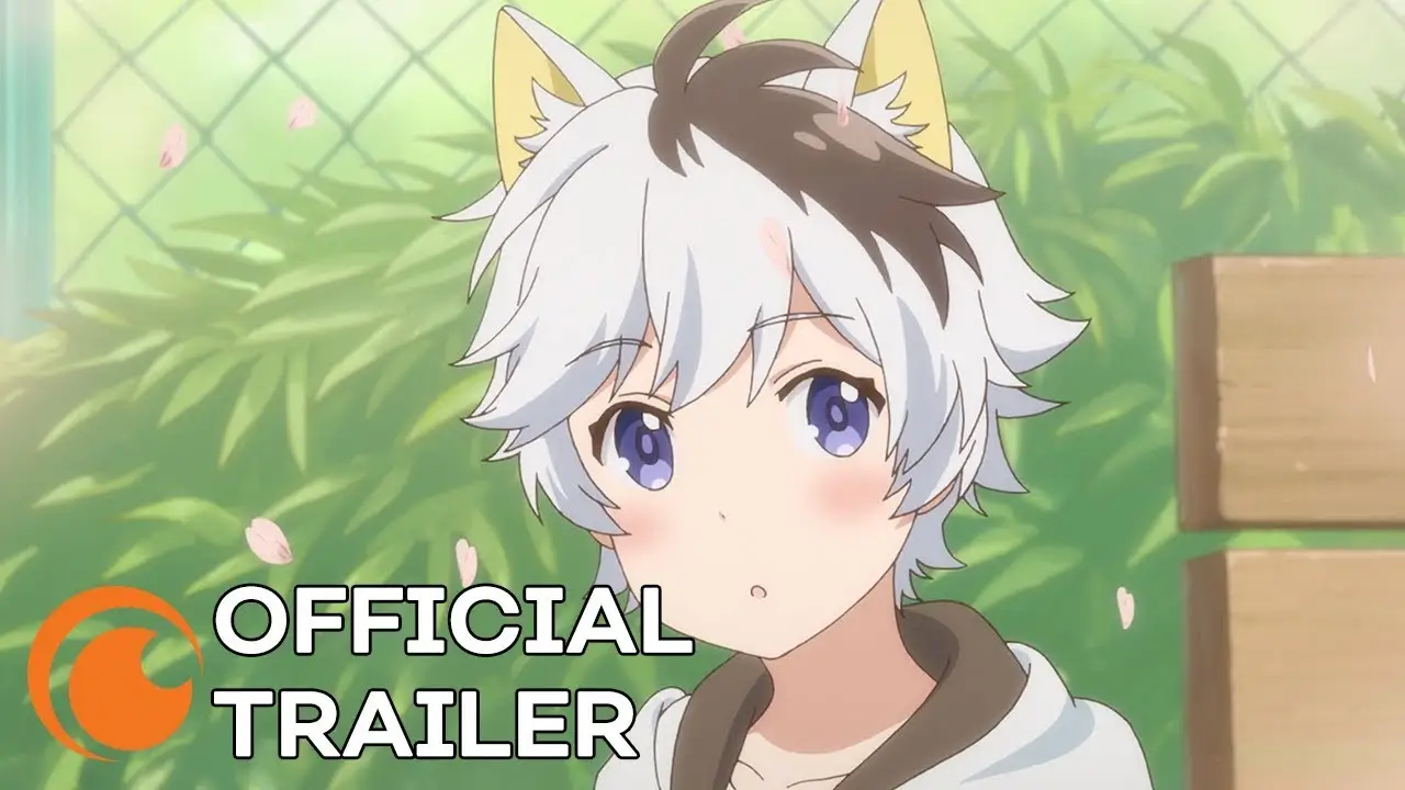 Uchitama?! Have you seen my Tama? — trailer