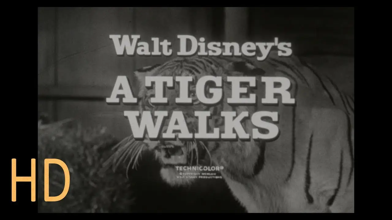 A Tiger Walks — trailer