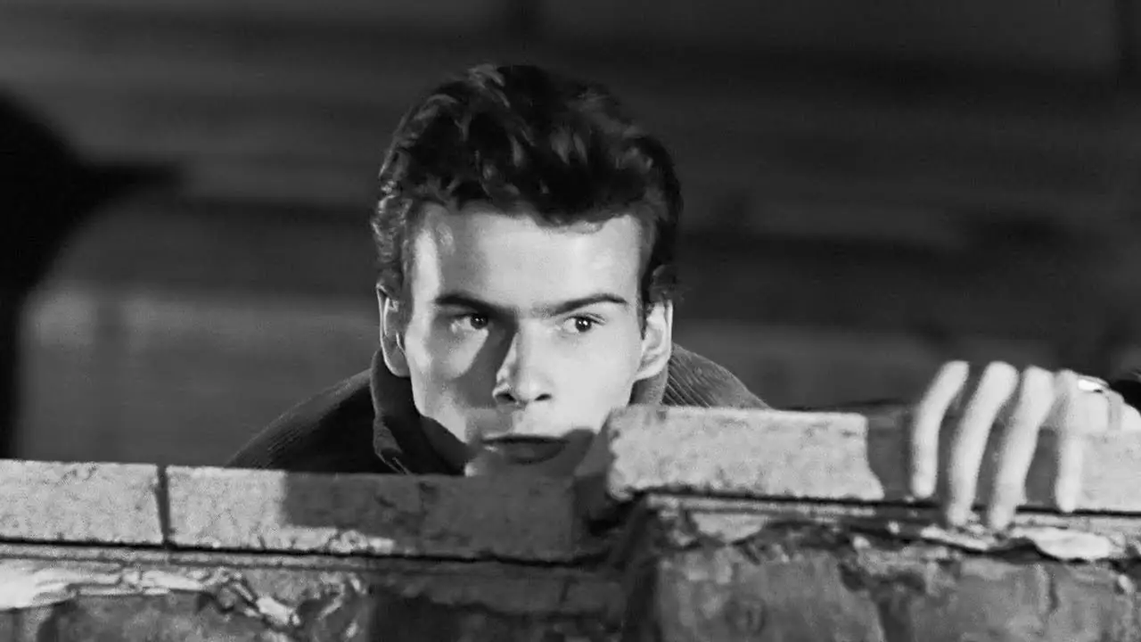 Teenage Wolfpack — трейлер