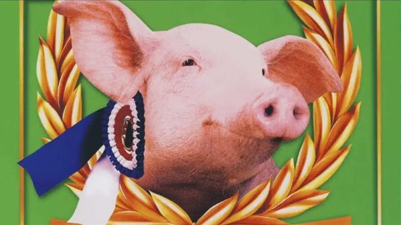 Rudy, the Racing Pig — trailer