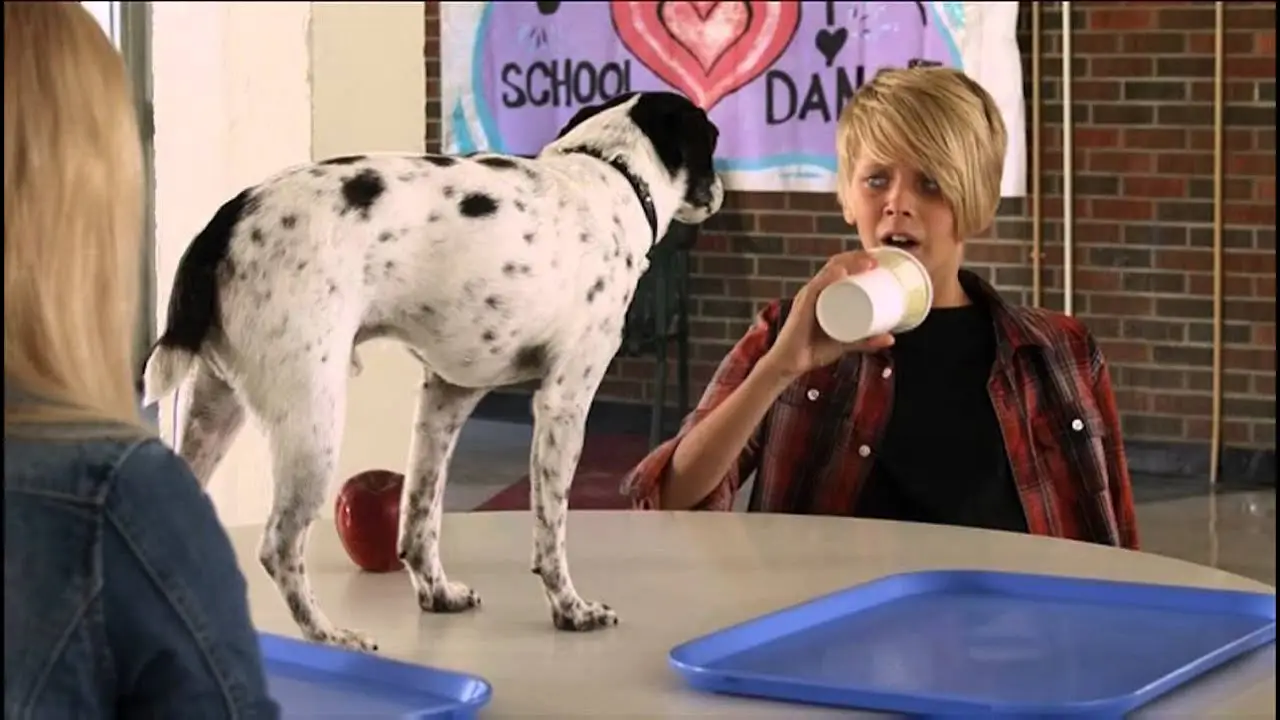 Vampire Dog — trailer